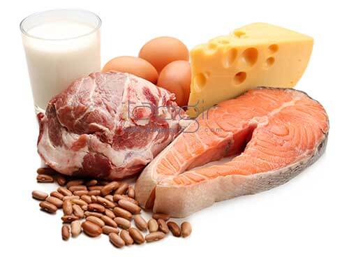داشتن پروتئین در ر‌ژیم غذایی
