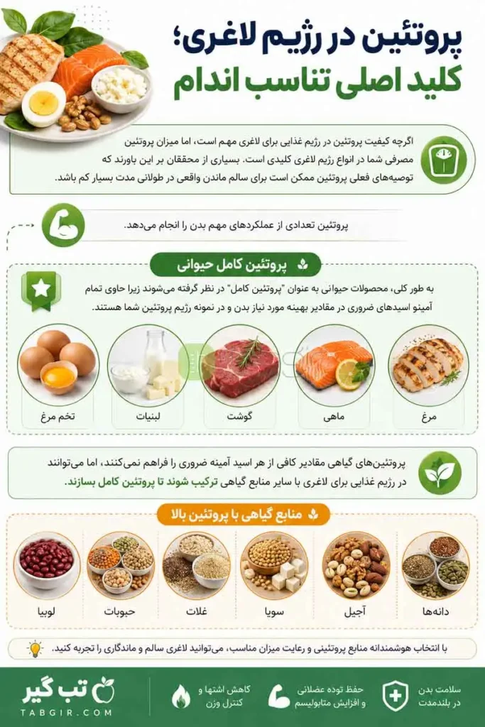 غذاهای پروتئین دار برای لاغری